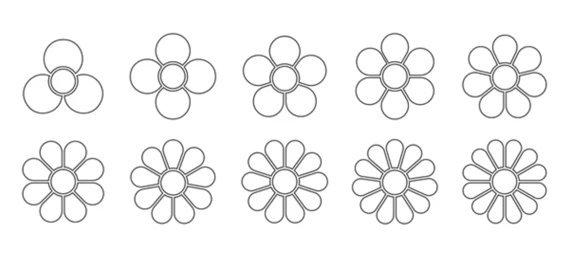 Fleurs avec différentes pétales