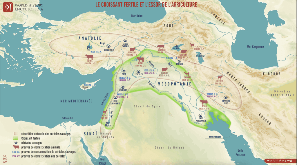 Le croissant fertile